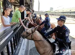 纪检监察7种日常监督